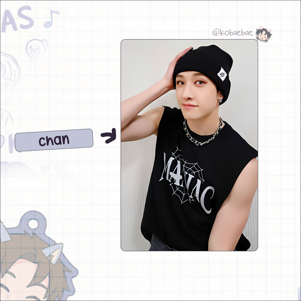 Skz - Handmade photocards kpop inspired - Japan World Tour