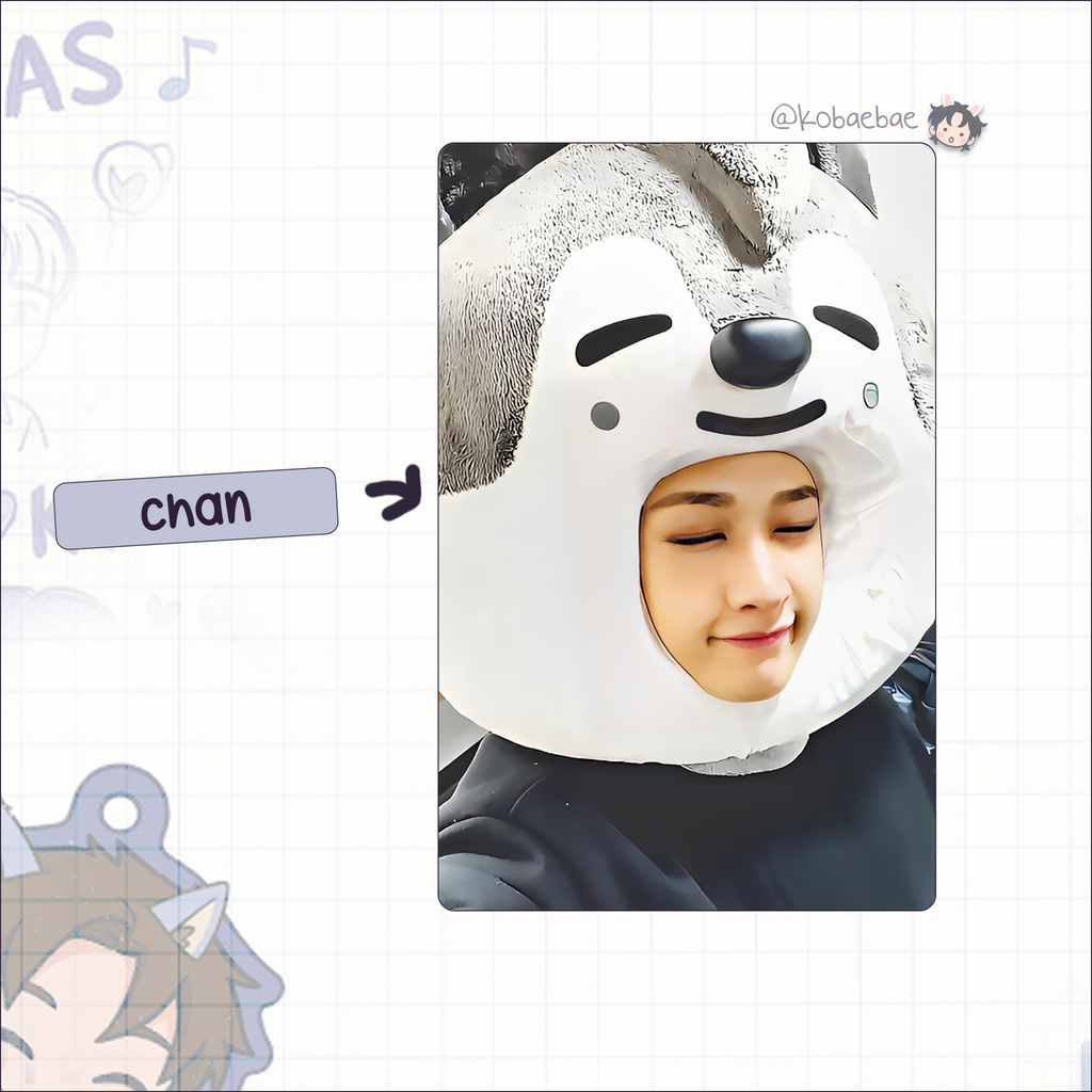 Skz - Skzoo Stray Handmade photocards kpop inspired - Bias set