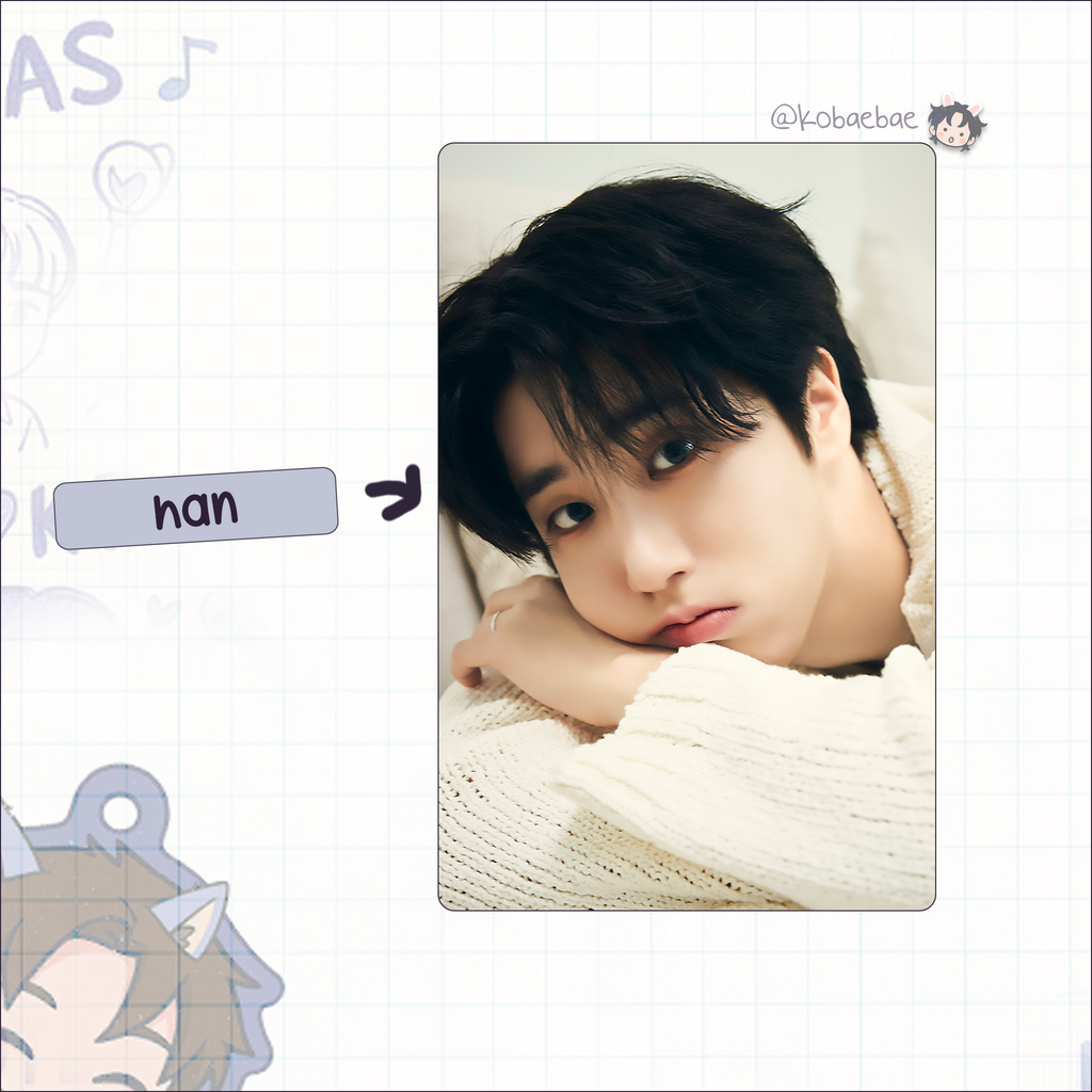 Skz - S.G. Handmade photocards kpop inspired - Perfect Days
