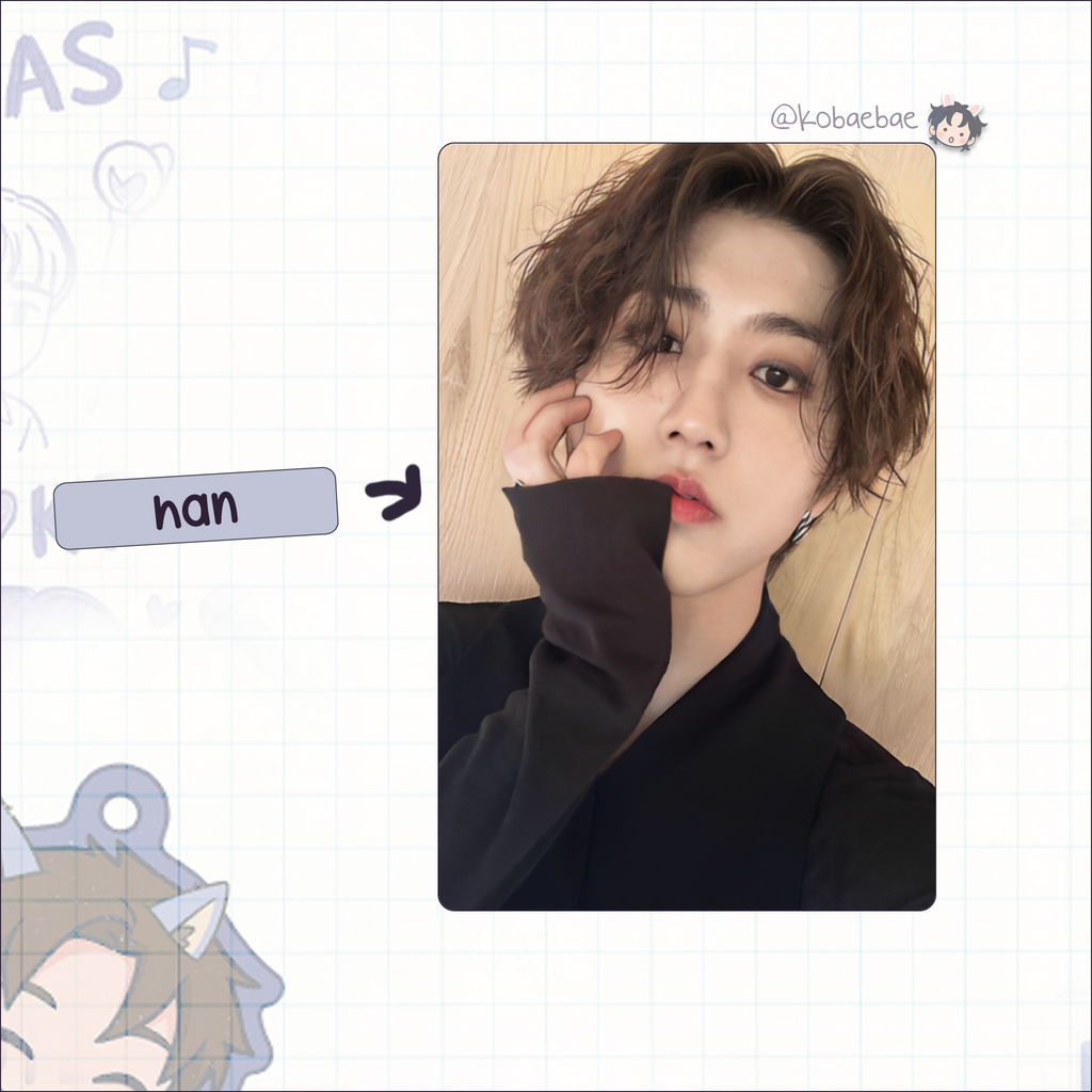Skz - Stay Week Handmade photocards kpop inspired - Bias set