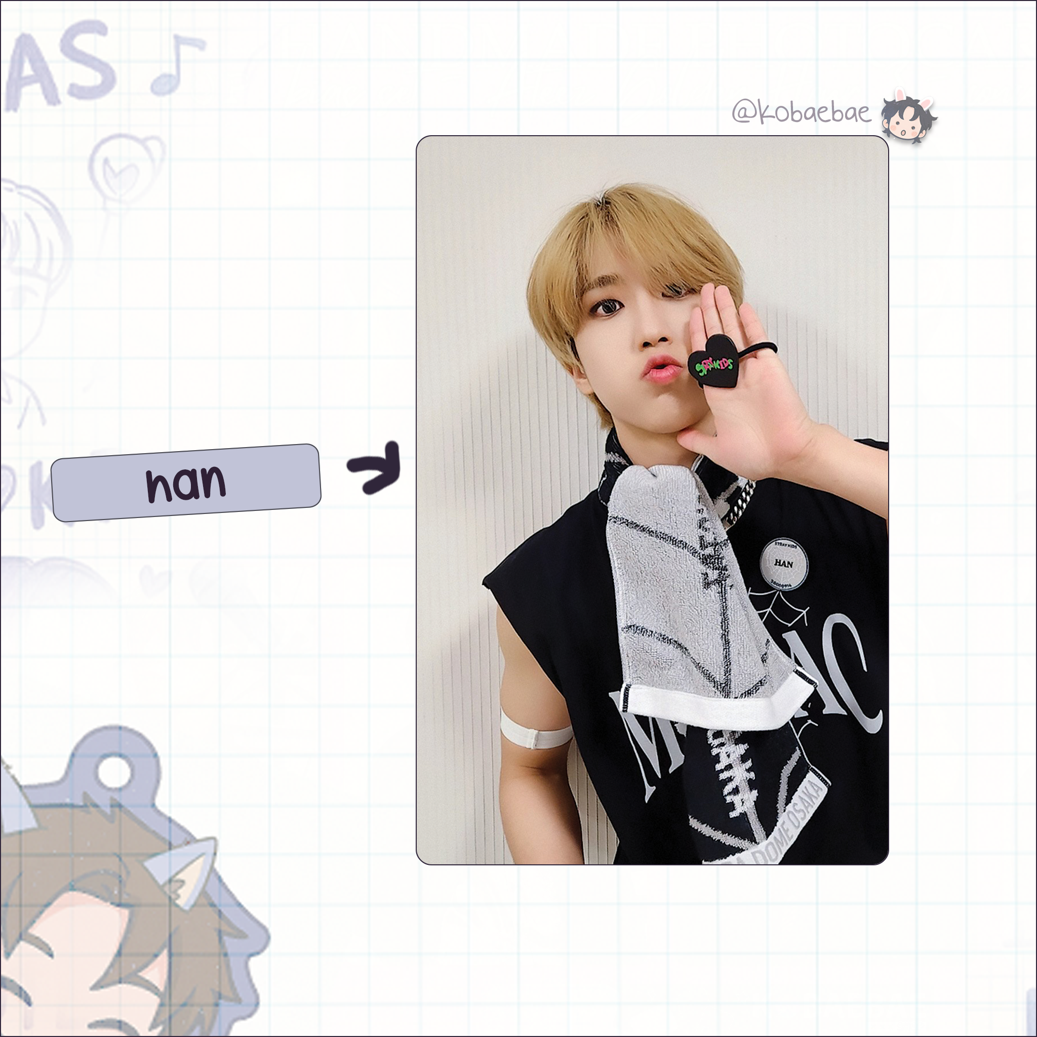 Skz - Handmade photocards kpop inspired - Japan World Tour