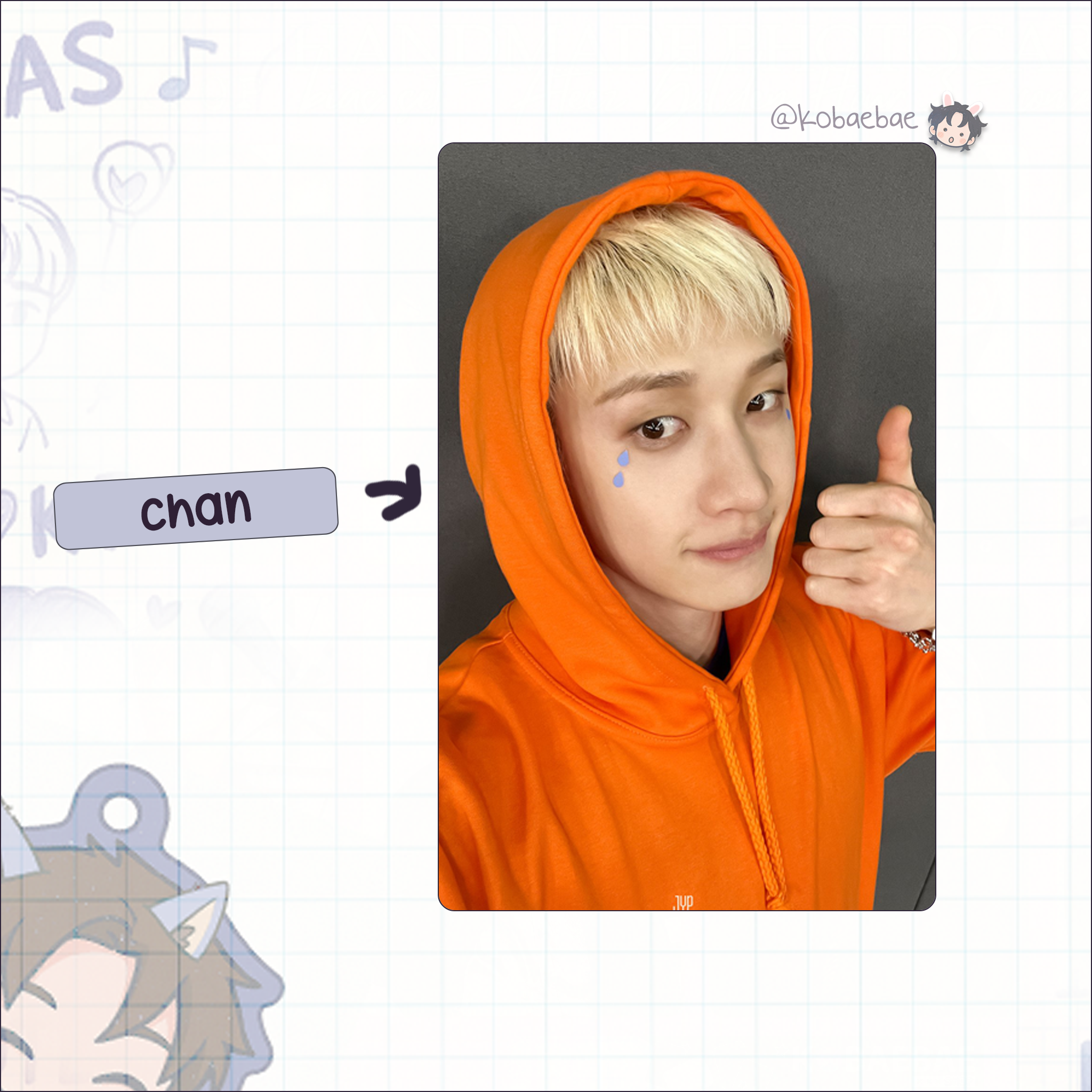 Skz (Stray Kids) - Selfie Code handmade photocards kpop inspired - bias set