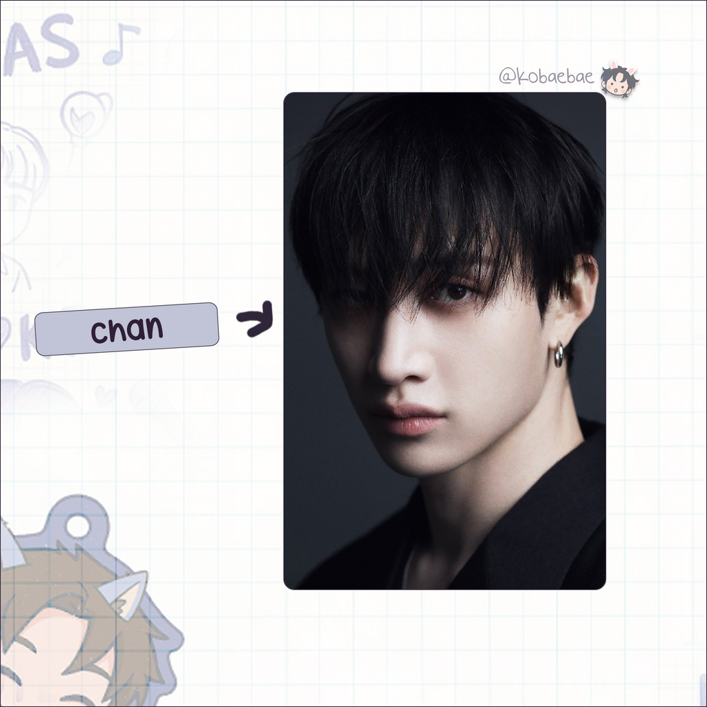 Skz - Di.con Handmade photocards kpop inspired - Bias set