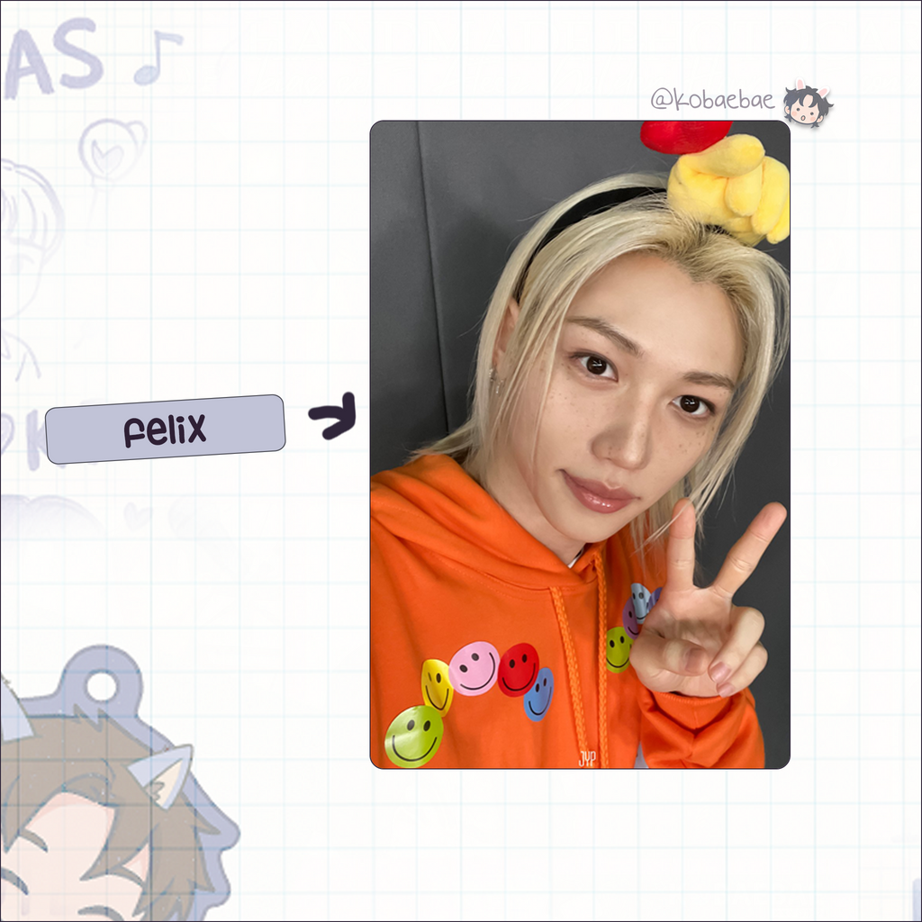 Skz (Stray Kids) - Selfie Code handmade photocards kpop inspired - bias set