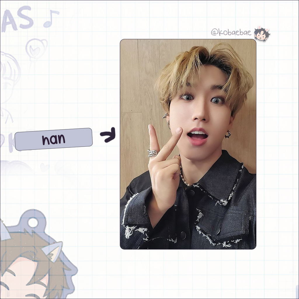 Skz - Handmade photocards kpop inspired - Set OT8 2
