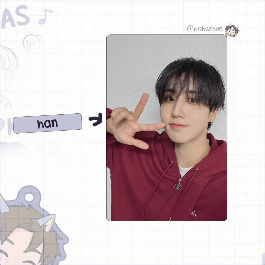 Skz - Stay Over the Rain Handmade photocards kpop inspired - Bias set