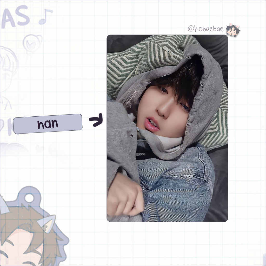 Skz - Funny set Handmade photocards kpop inspired - Bias set