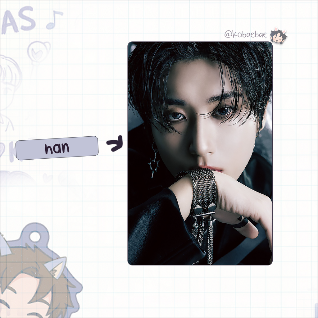 Skz - G.i.a.n.t. Handmade photocards kpop inspired - Main Solo