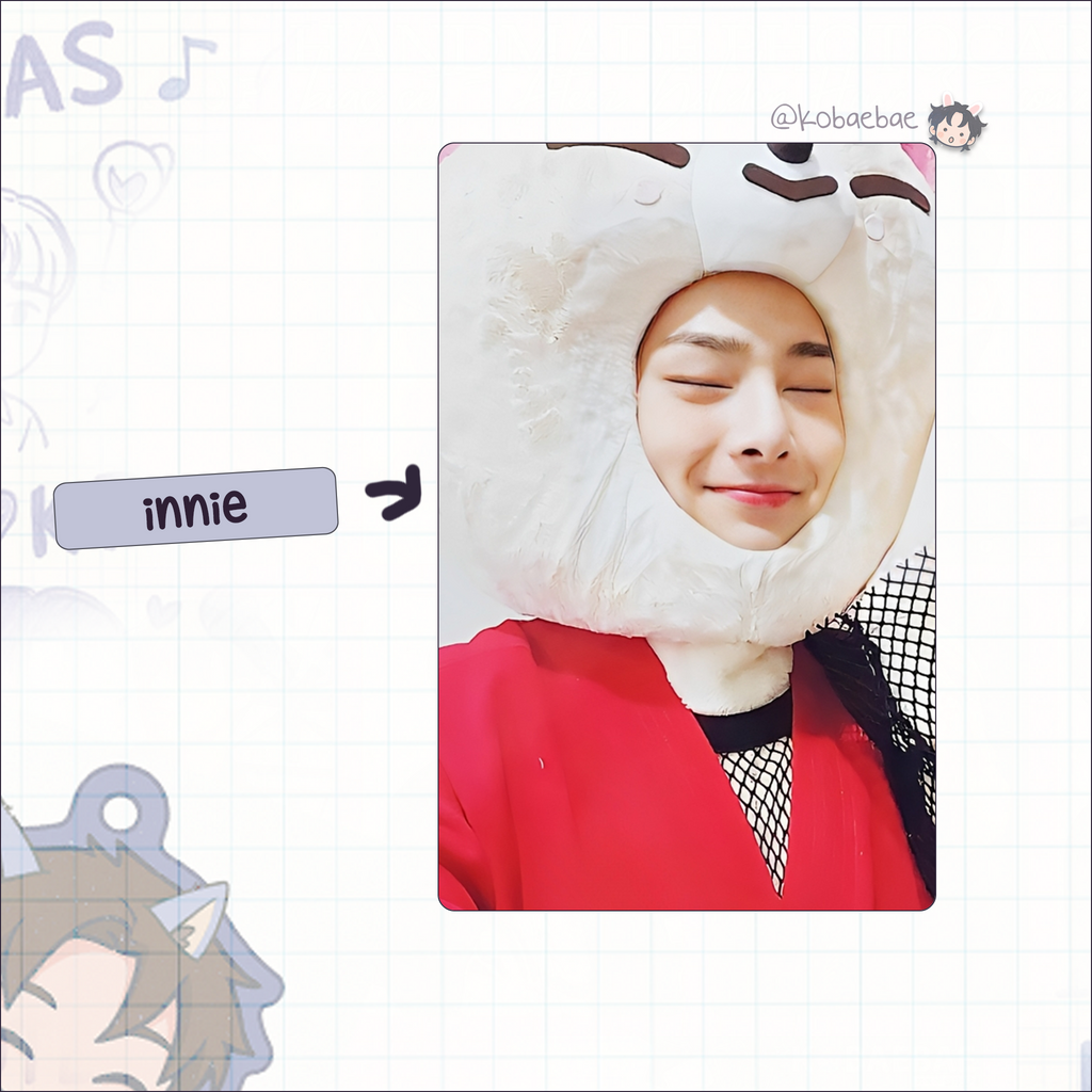 Skz - Skzoo Stray Handmade photocards kpop inspired - Bias set