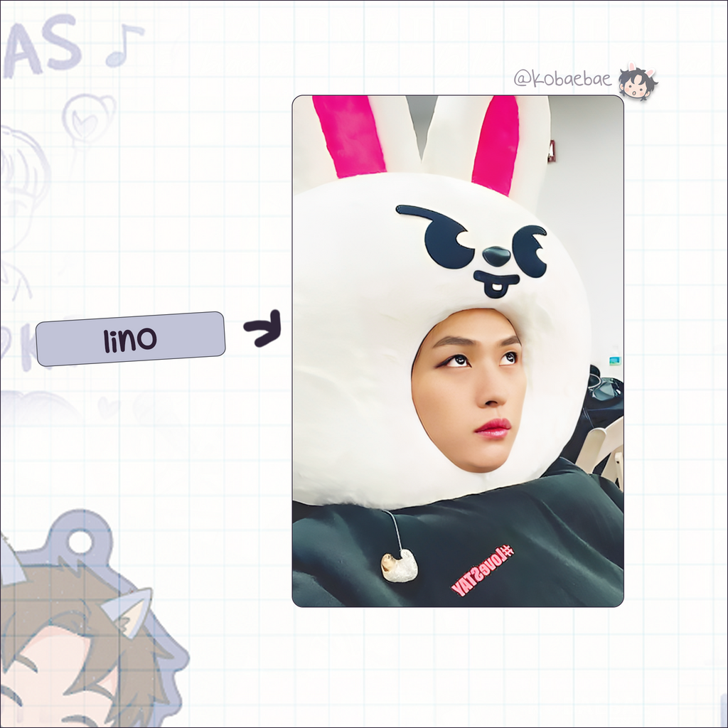 Skz - Skzoo Stray Handmade photocards kpop inspired - Bias set