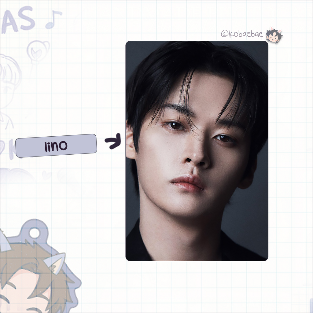 Skz - Di.con Handmade photocards kpop inspired - Bias set