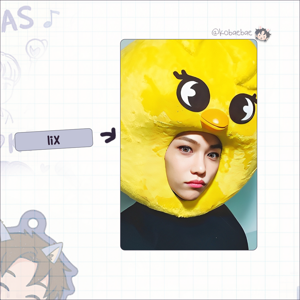 Skz - Skzoo Stray Handmade photocards kpop inspired - Bias set