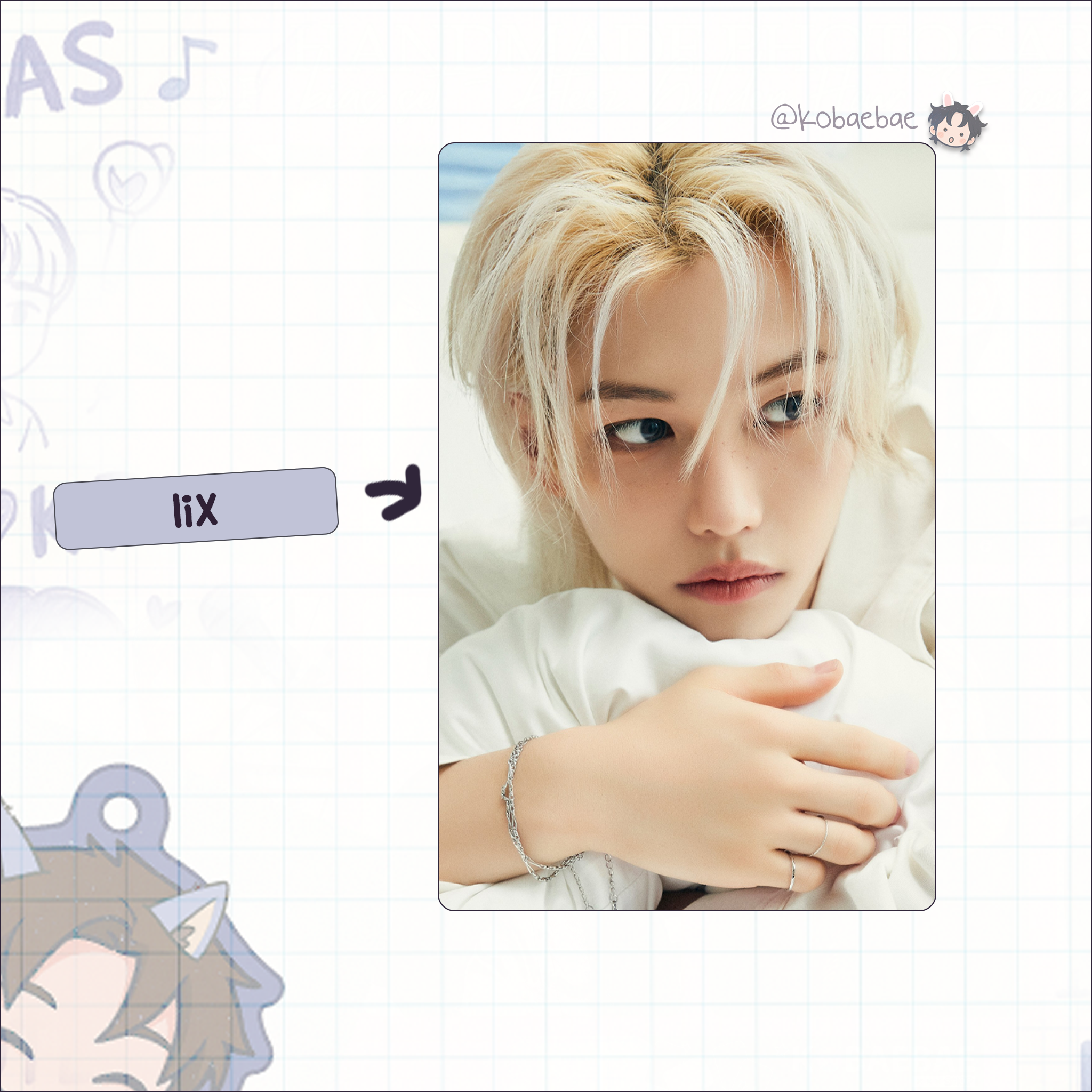Skz - S.G. Handmade photocards kpop inspired - Perfect Days