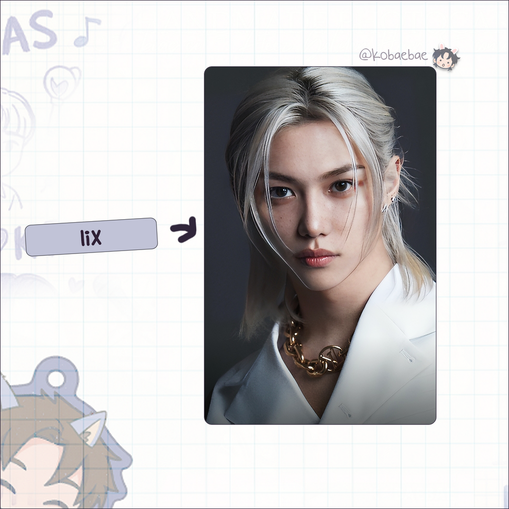 Skz - Di.con Handmade photocards kpop inspired - Bias set