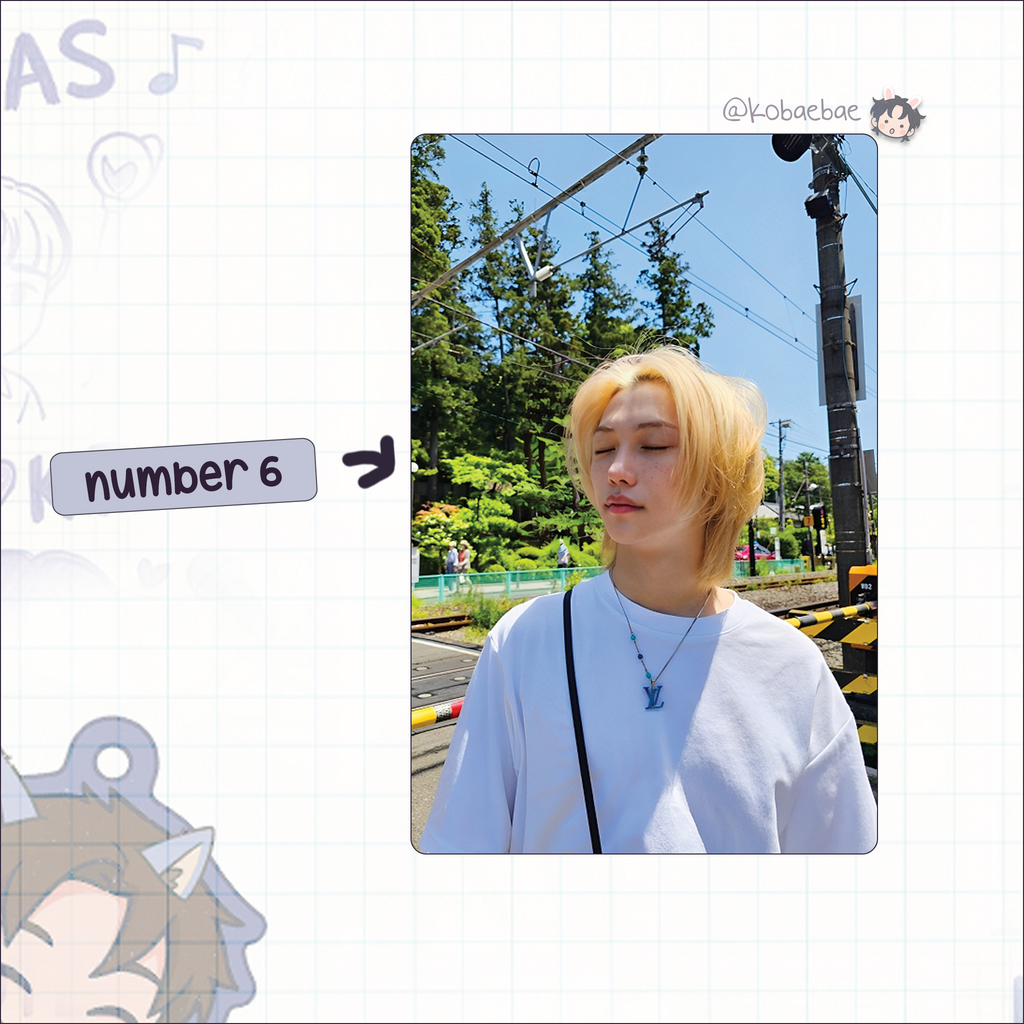 Skz - Lix Handmade photocards kpop inspired - Bias set 5
